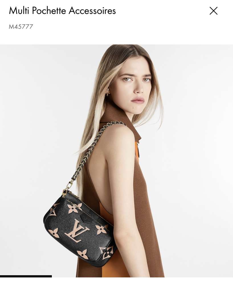 Louis Vuitton Multi Pochette Accessoires