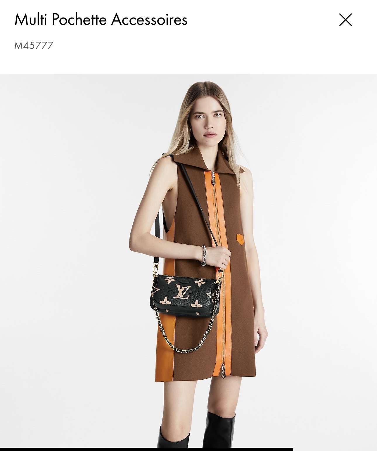 Louis Vuitton Multi Pochette Accessoires