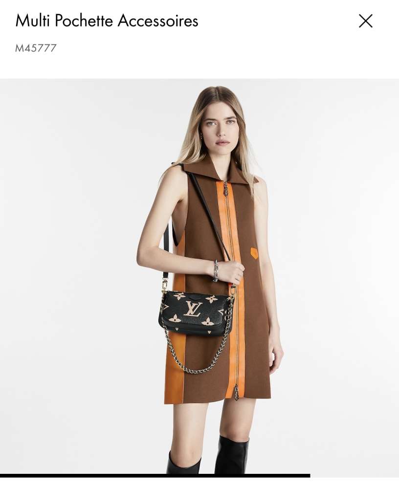 Louis Vuitton Multi Pochette Accessoires