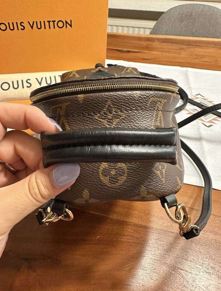 Louis Vuitton mini Palm