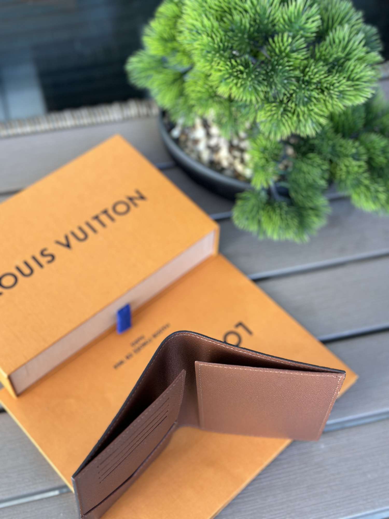 Louis Vuitton obal na pas