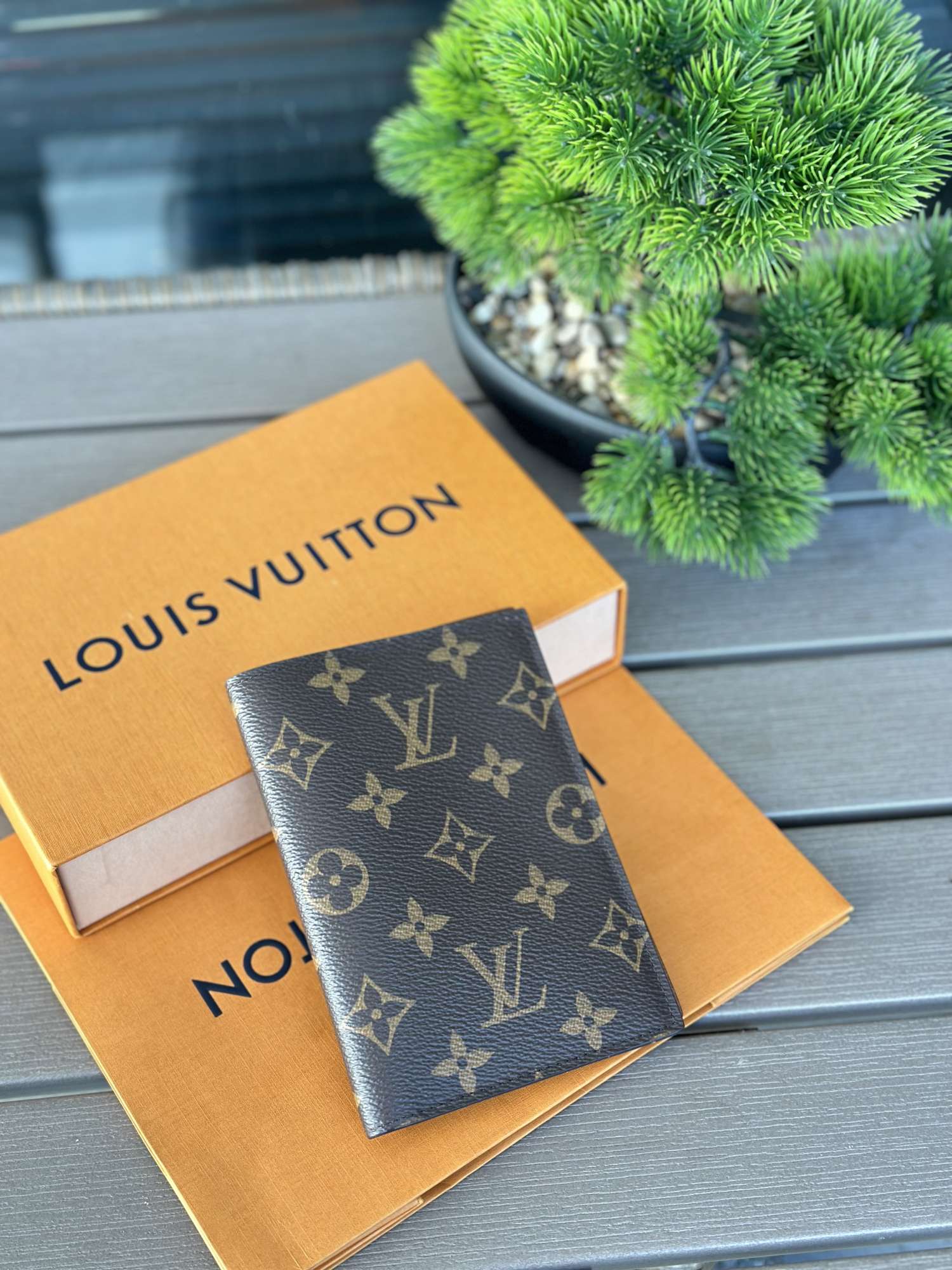 Louis Vuitton obal na pas