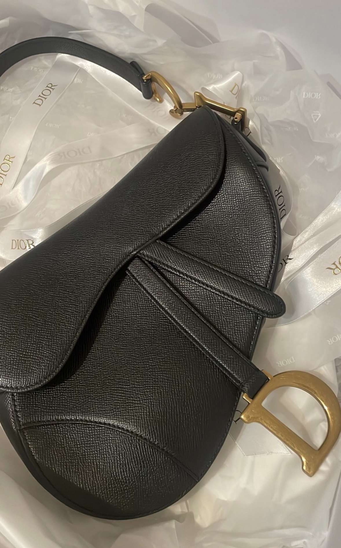 Dior Saddle Bag