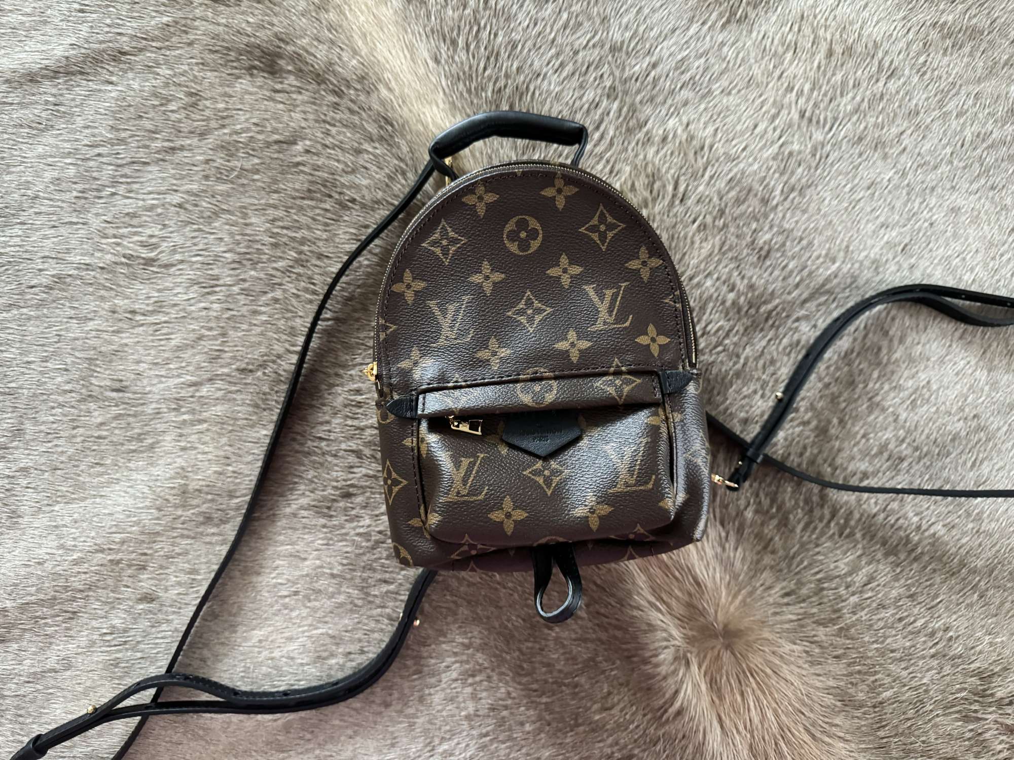 Louis Vuitton Palm Springs mini