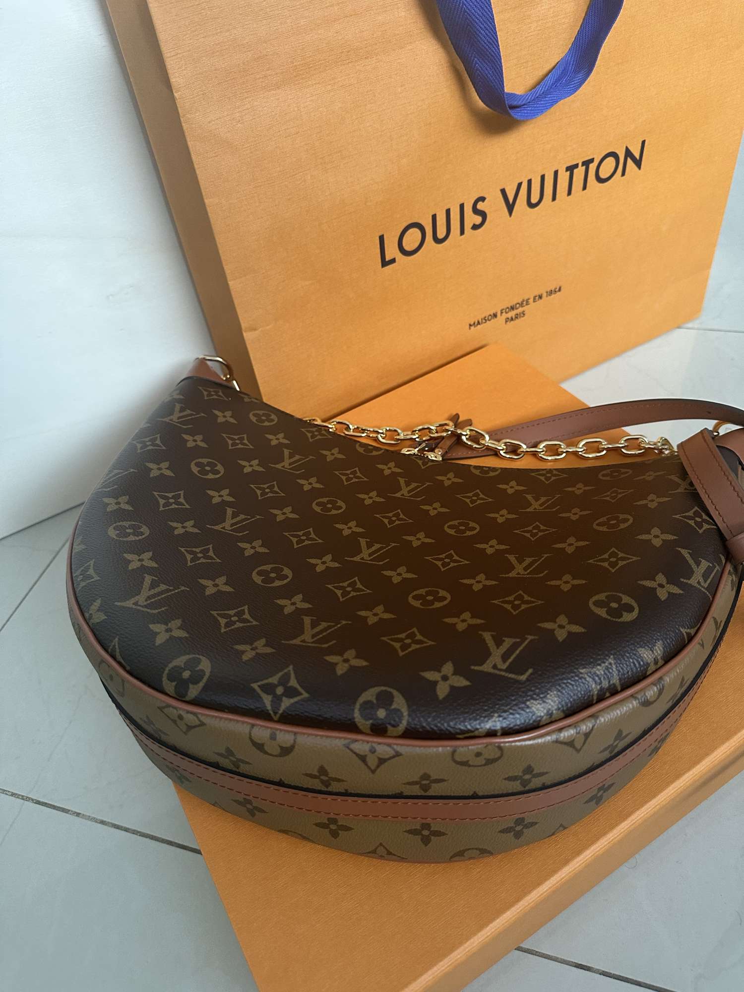 Louis Vuitton Loop Hobo - VIP LUXURY