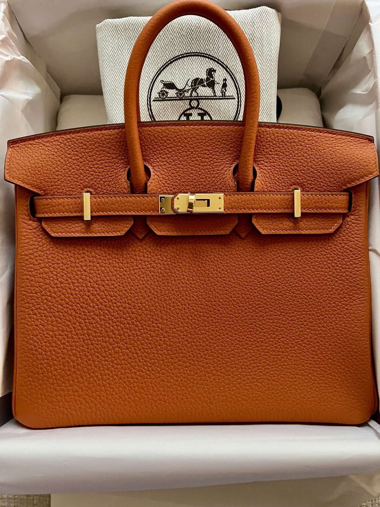 Hermes Birkin 25 Orange