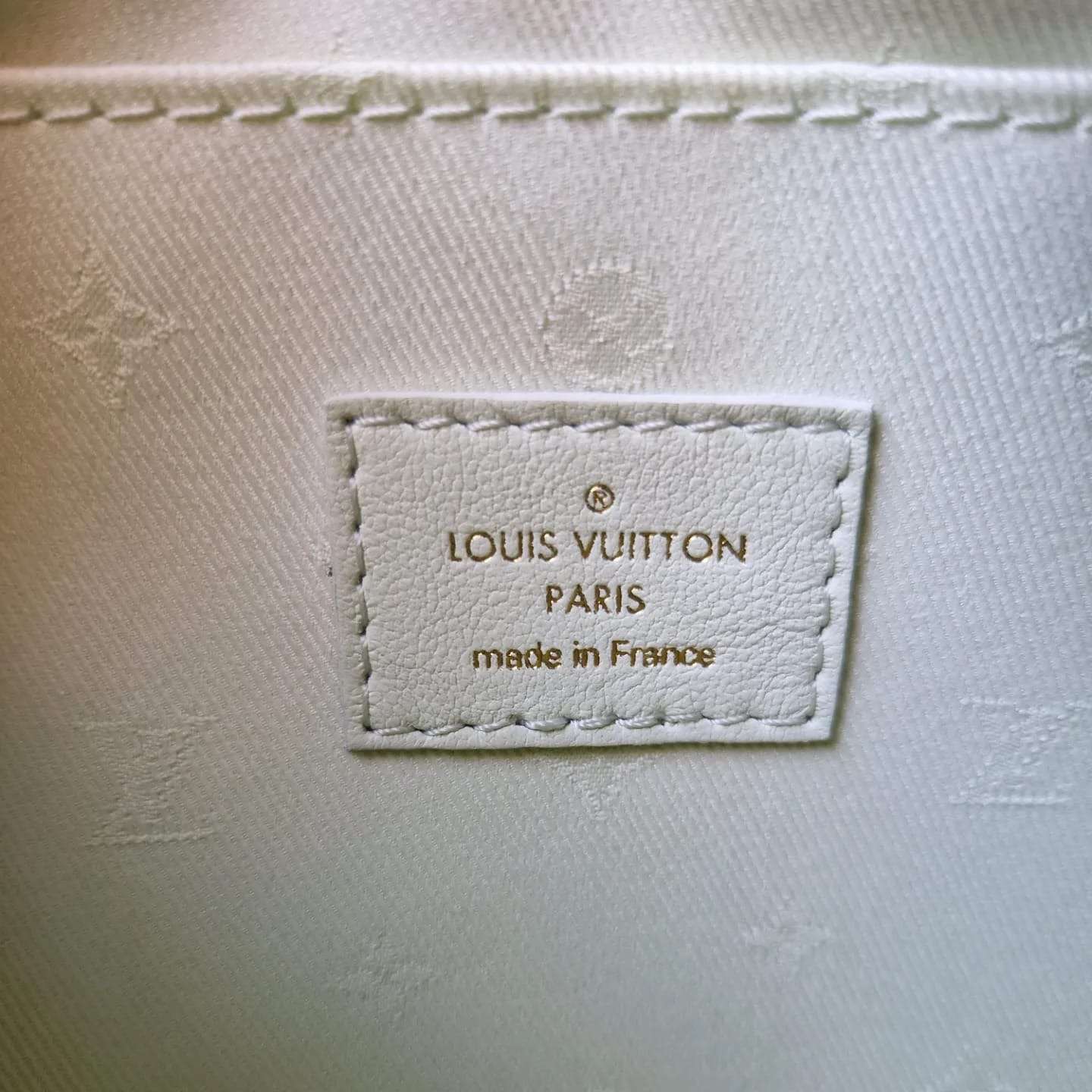 Louis Vuitton over the moon bubblegram mint