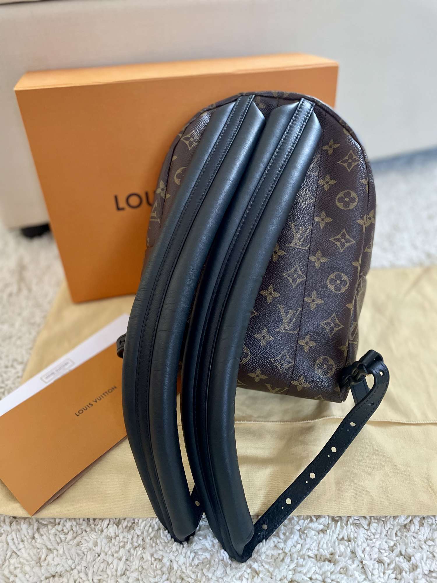 Louis Vuitton Palm Springs PM Backpack