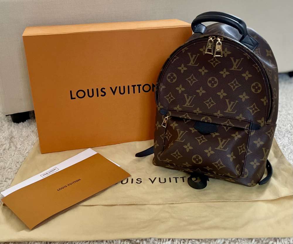 Louis Vuitton Palm Springs PM Backpack