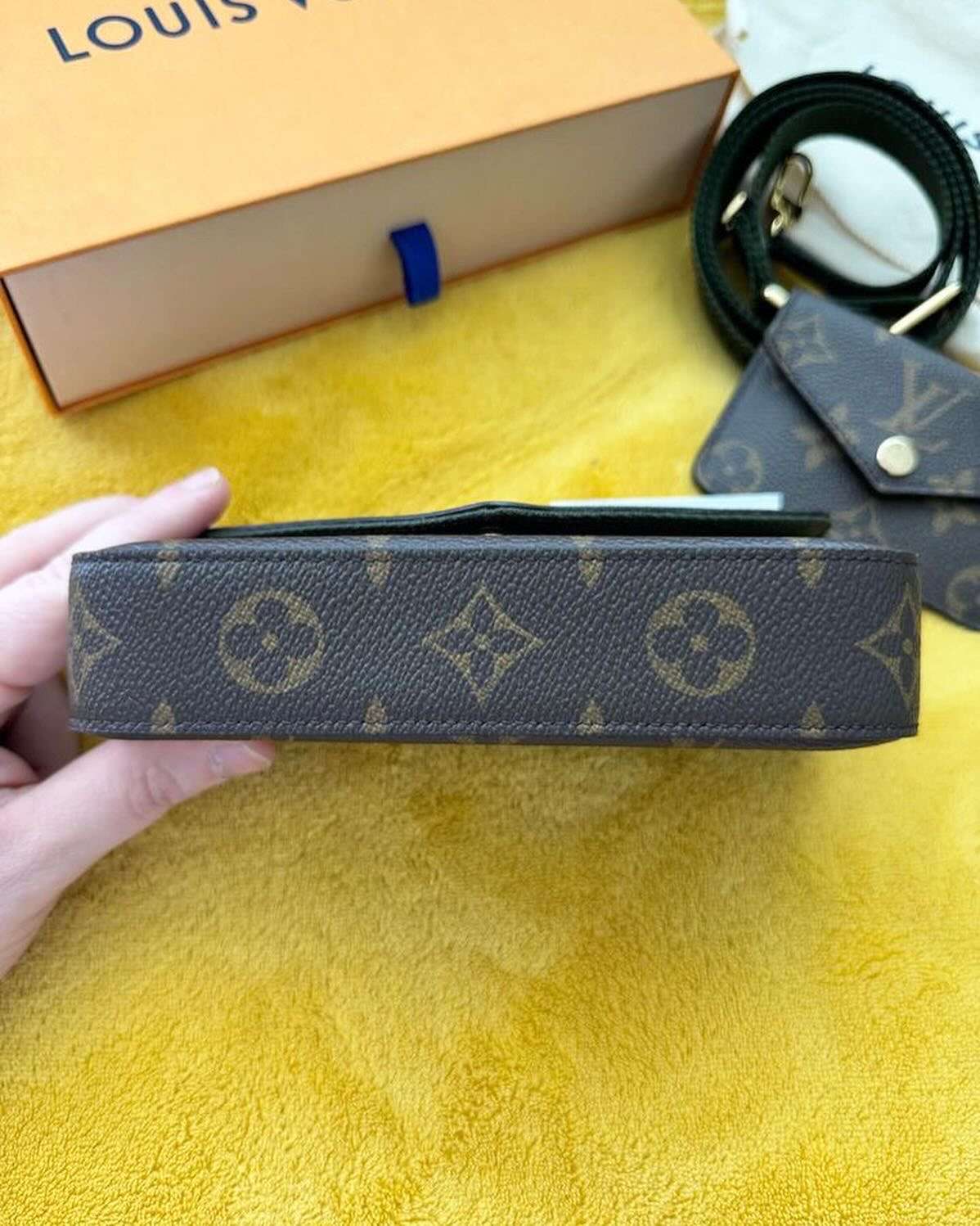 Louis Vuitton Felicie Strap & Go