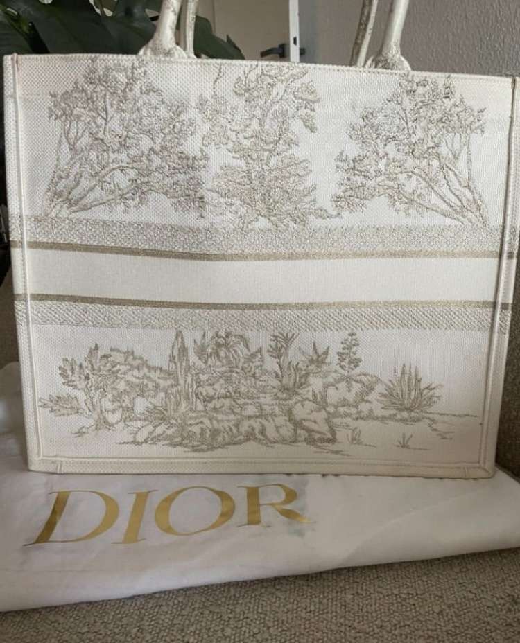 Dior Book Tote Large bag