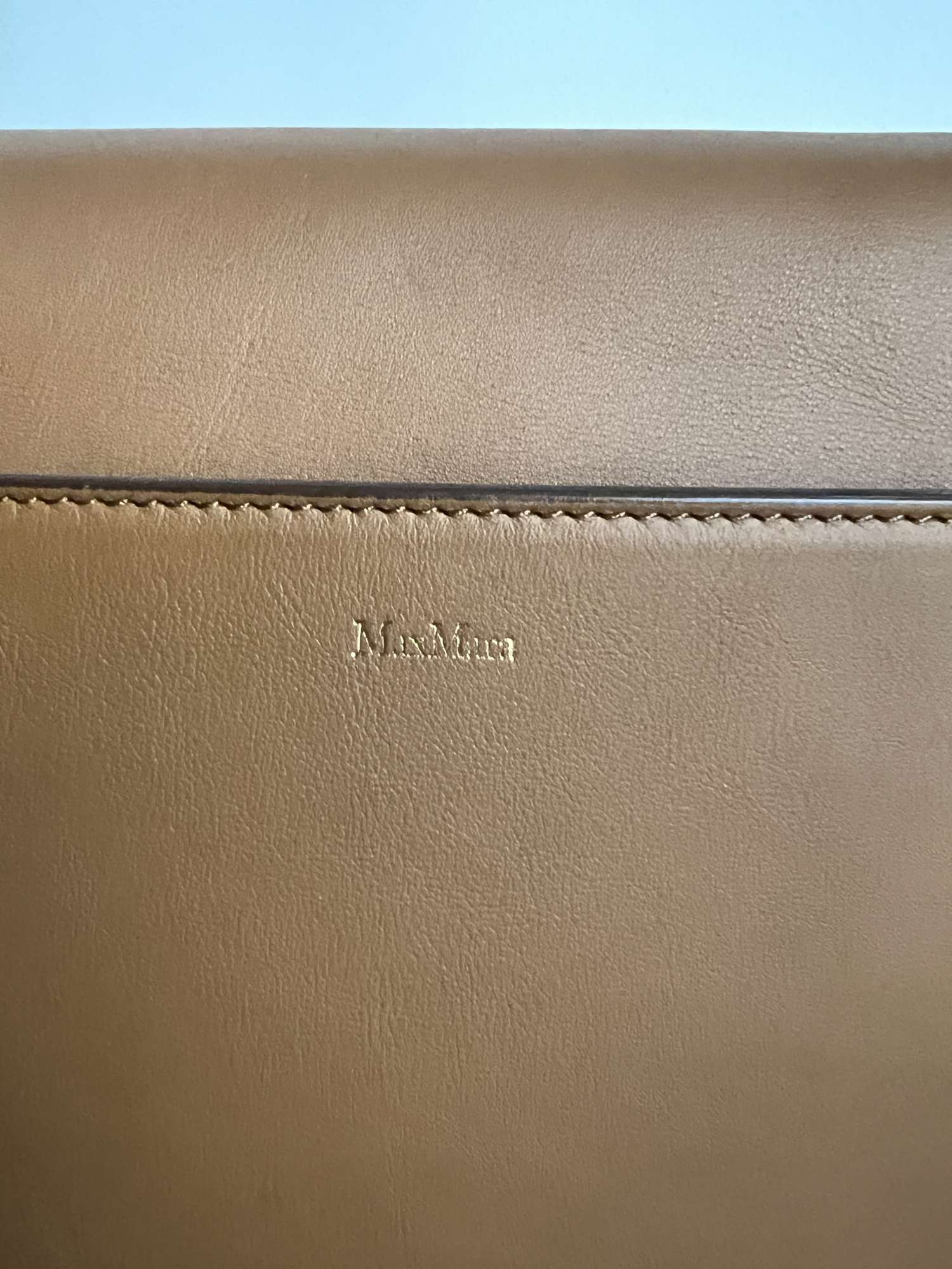 Satchel Bag Max Mara Ottelia
