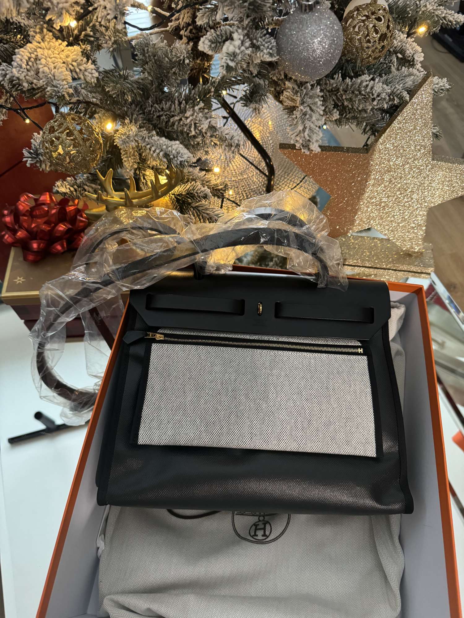 Hermes herbag 31