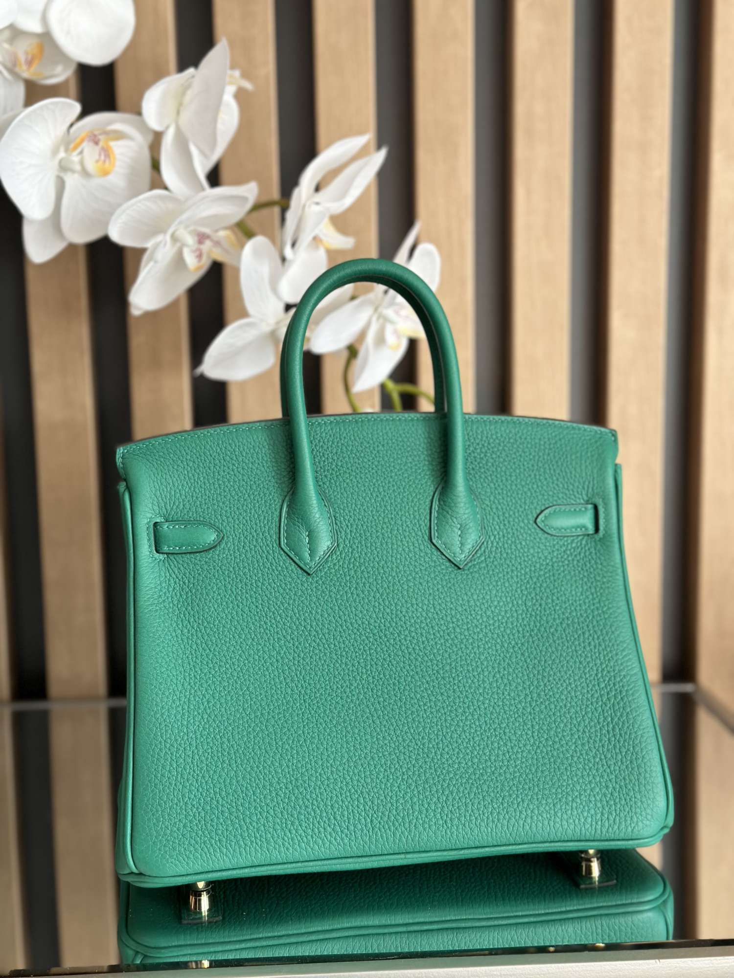Hermes Birkin 25