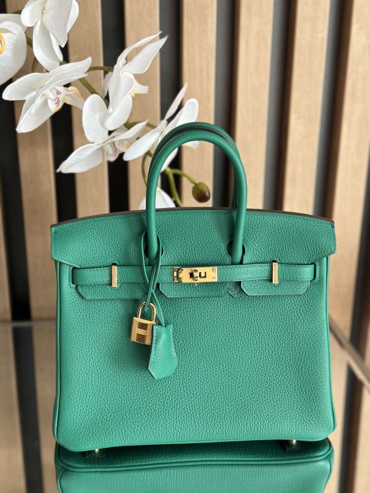 Hermes Birkin 25
