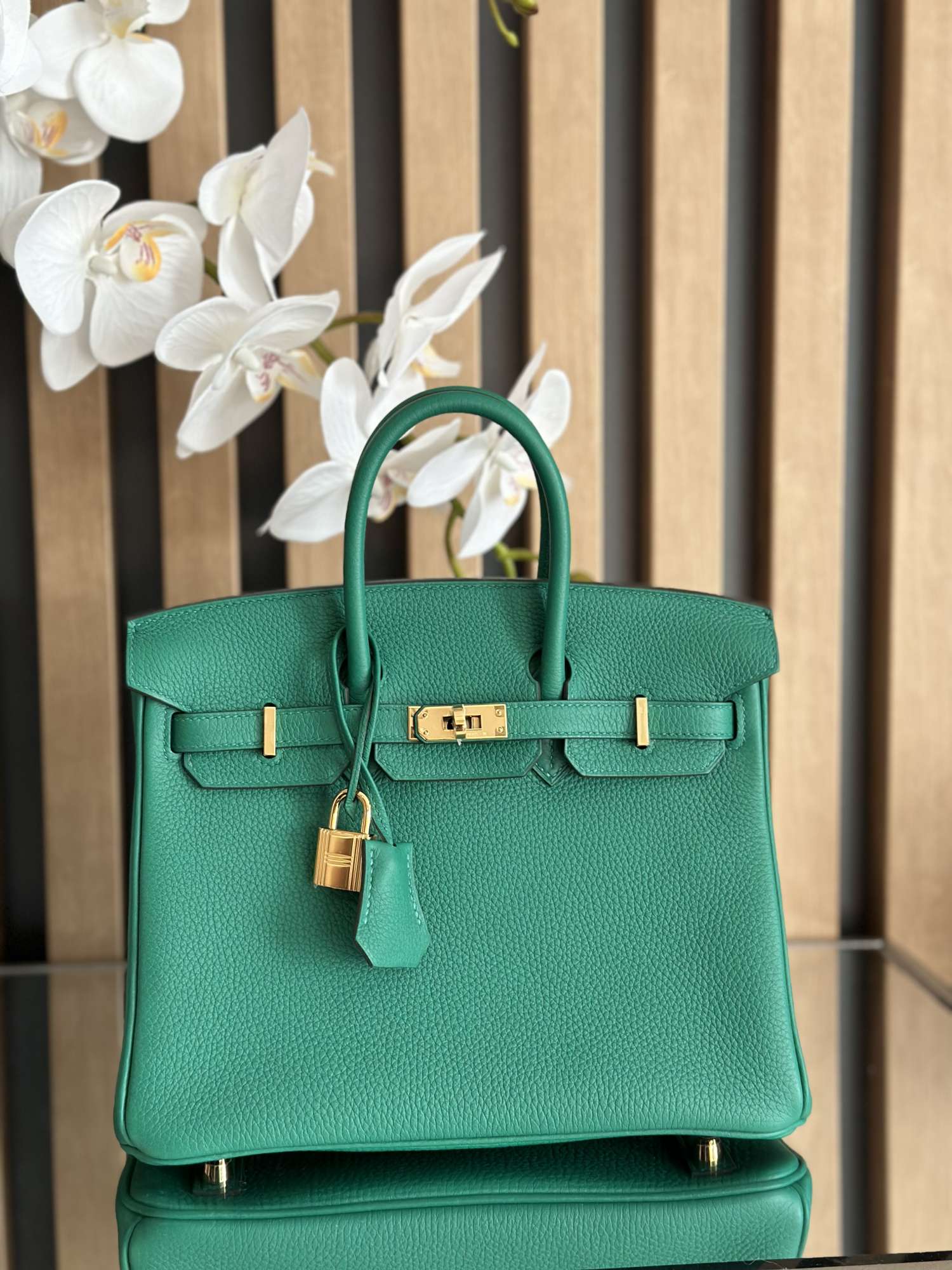 Hermes Birkin 25