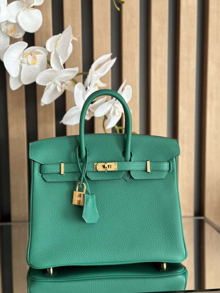 Hermes Birkin 25