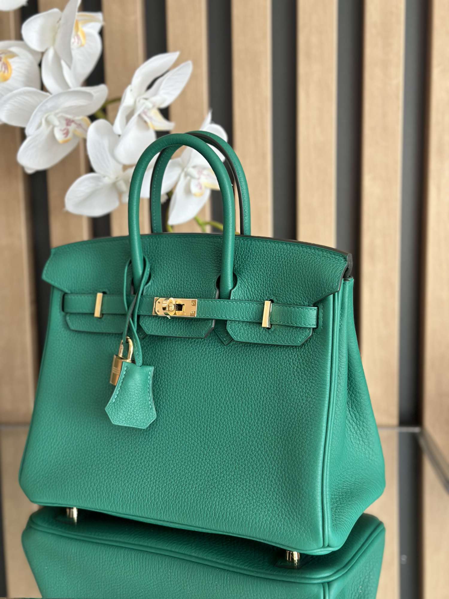 Hermes Birkin 25