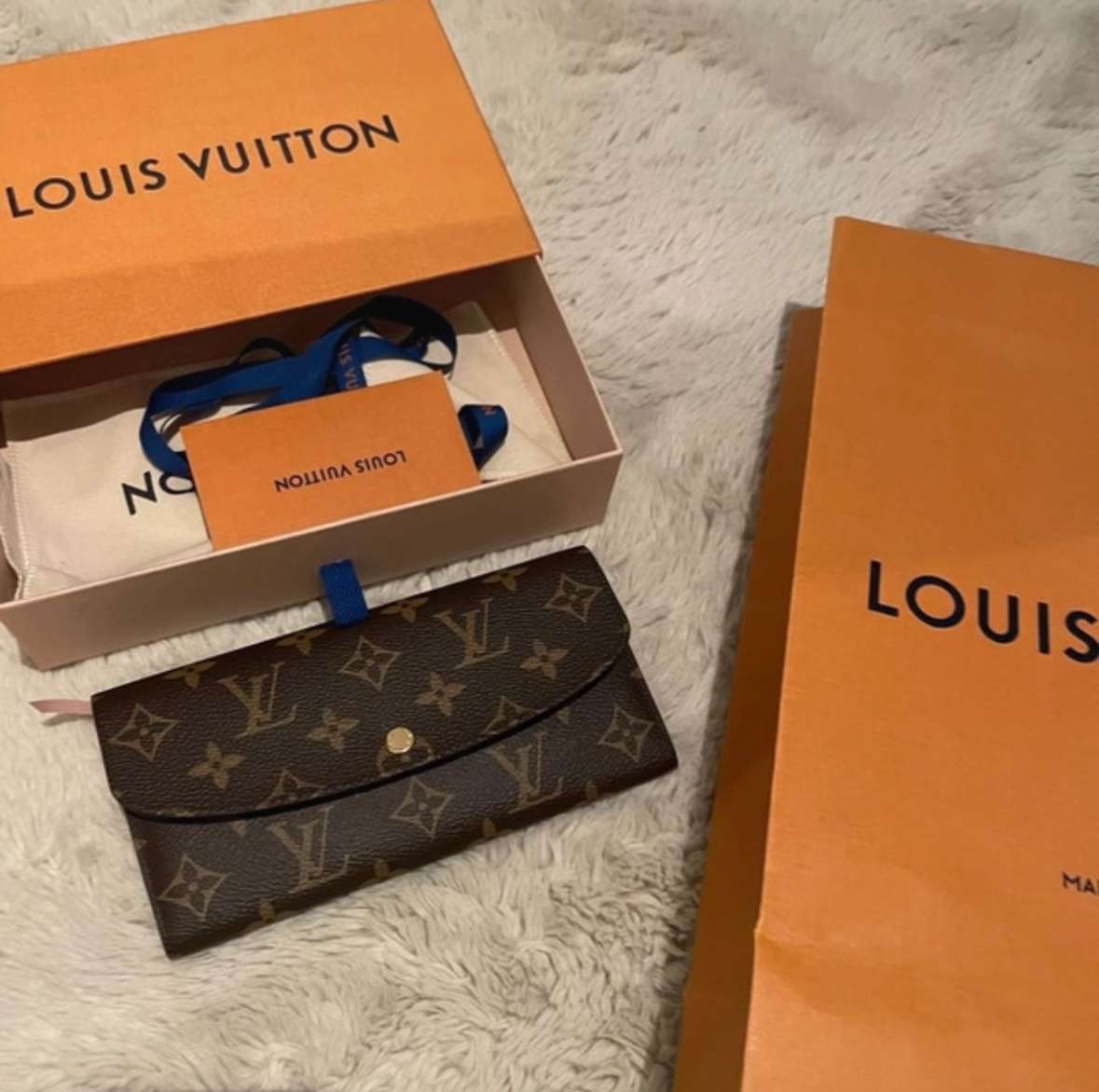 Louis Vuitton penaženka