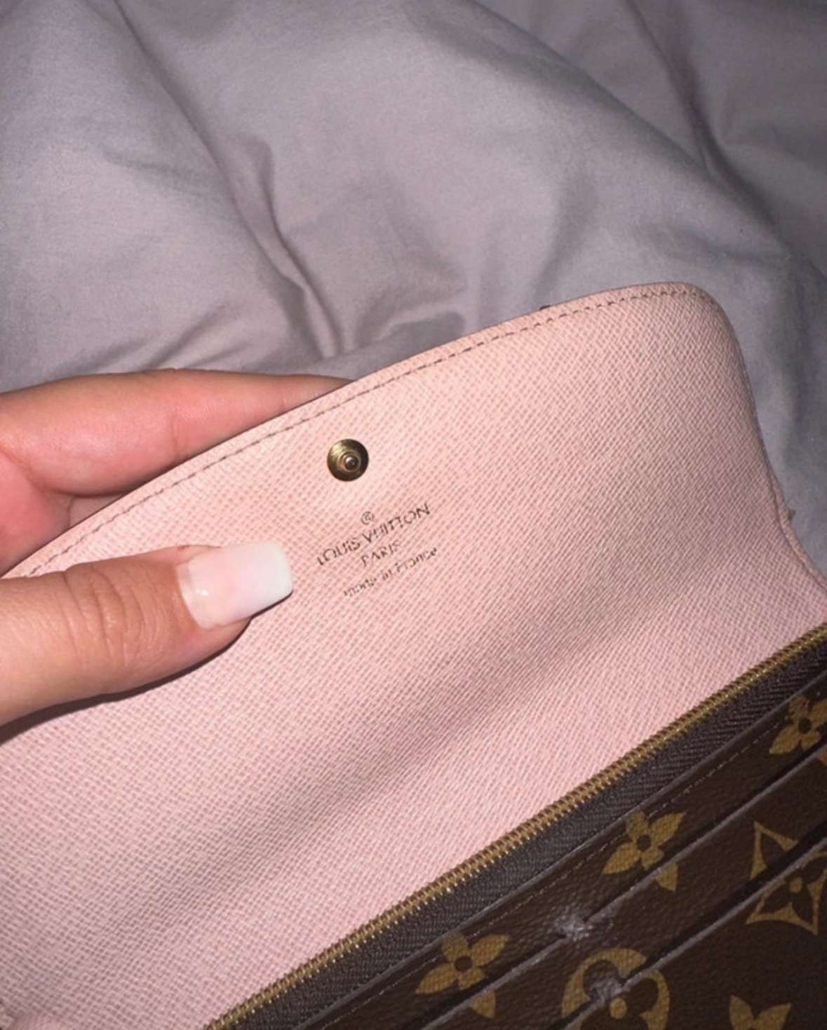 Louis Vuitton penaženka
