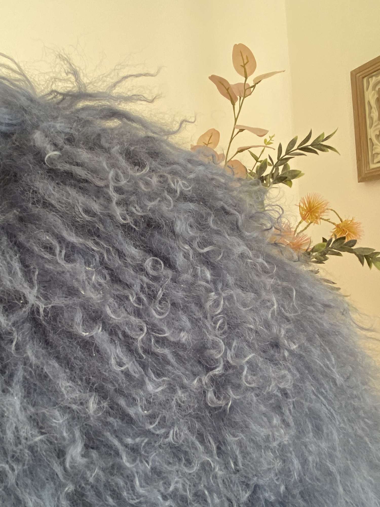 Kozusok z mongolskej ovecky