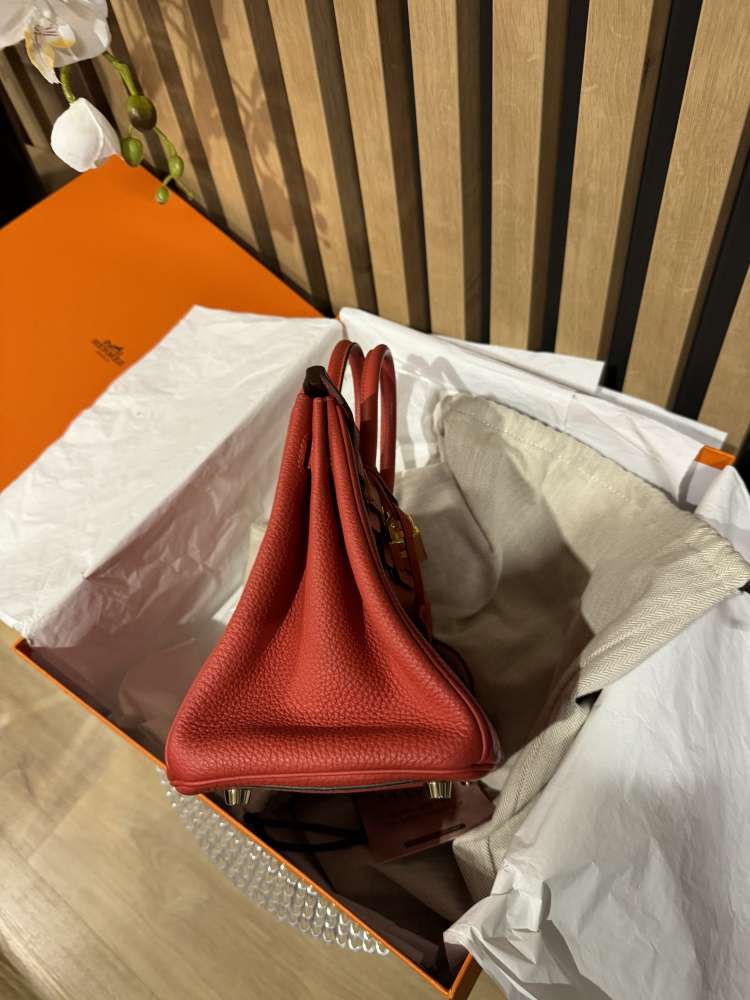 Hermes Birkin 25