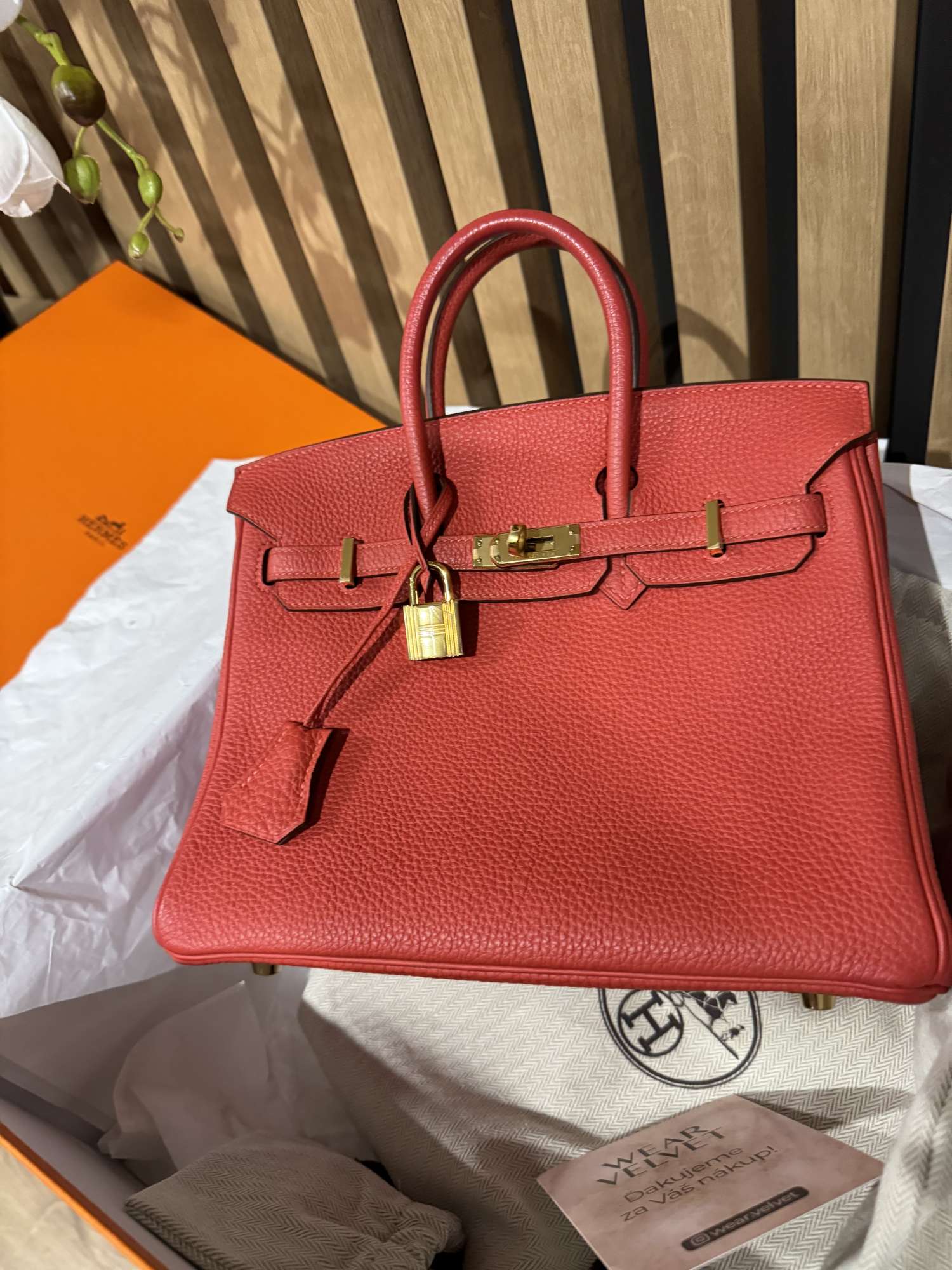 Hermes Birkin 25