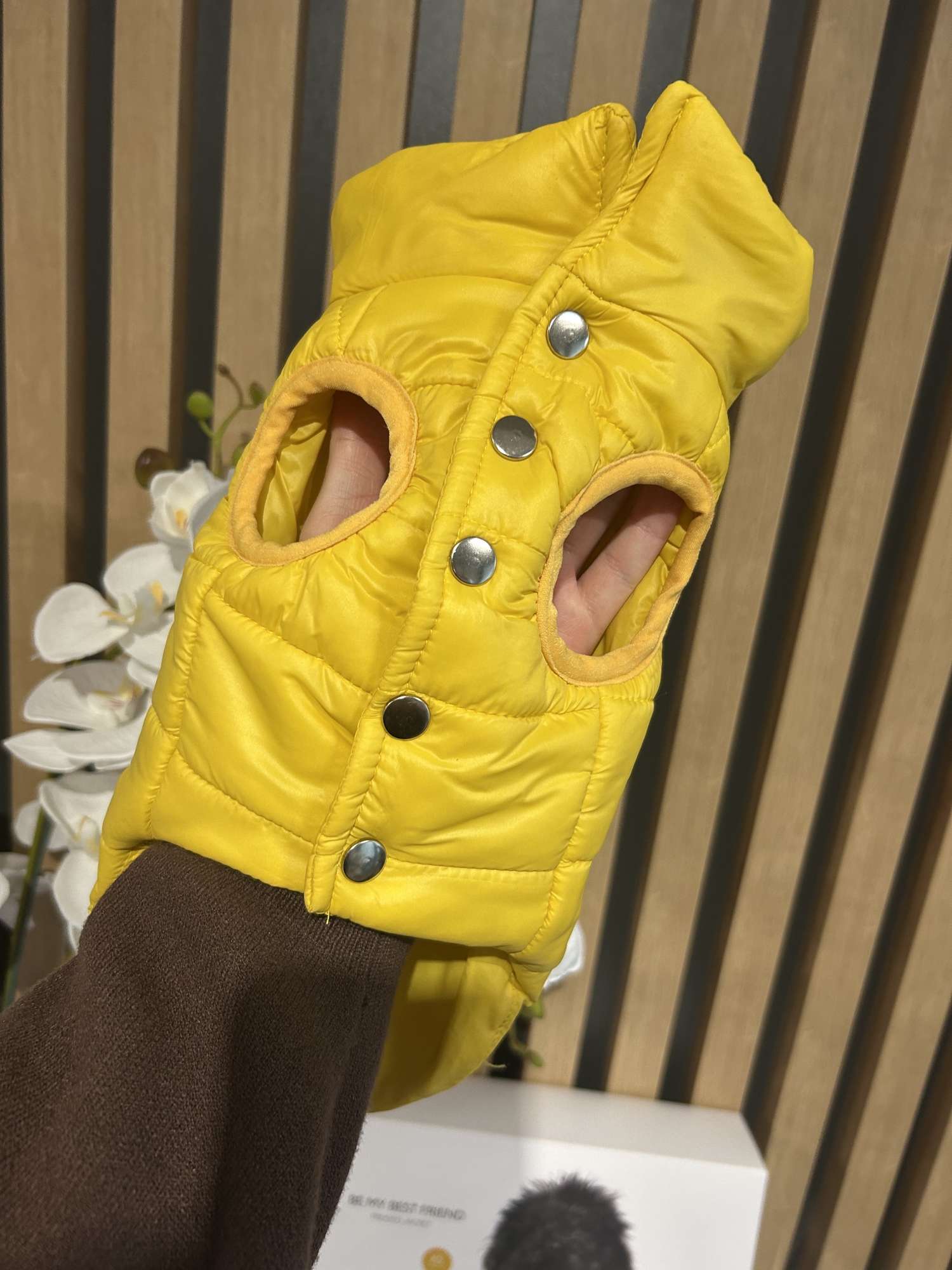 Benetton bundicka pre psa