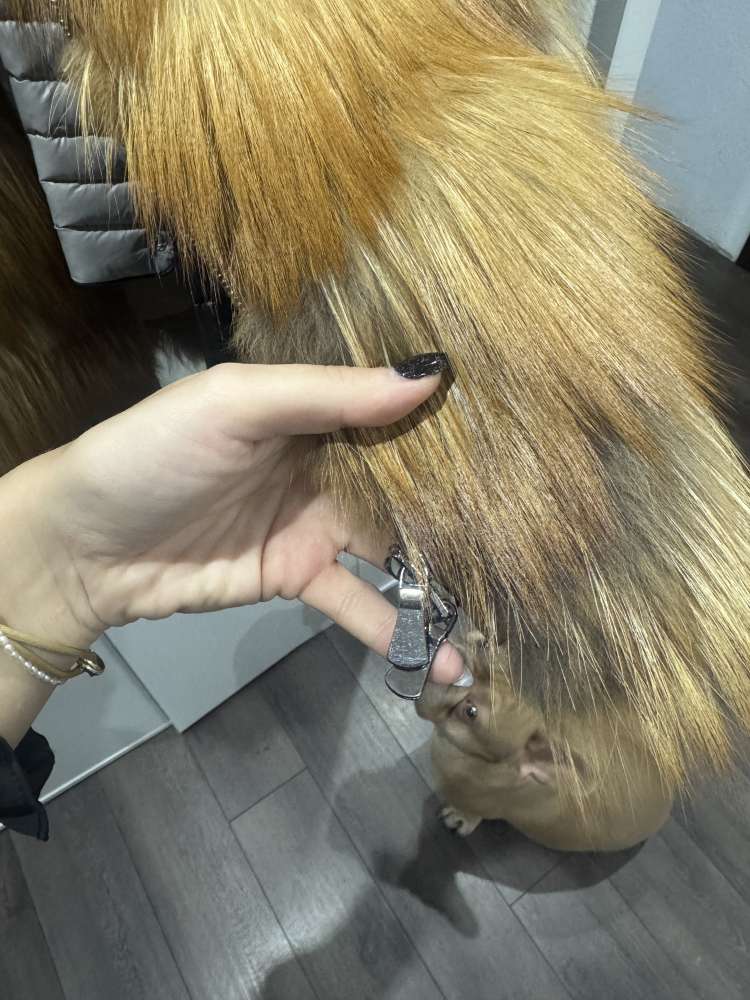 Kozusinova vesta z lisky