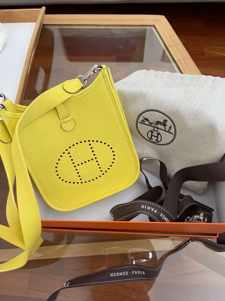 Hermes Evelyne
