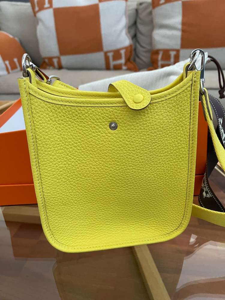 Hermes Evelyne
