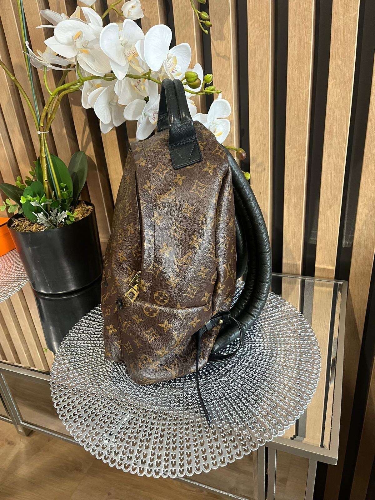 Louis Vuitton palm spring MM