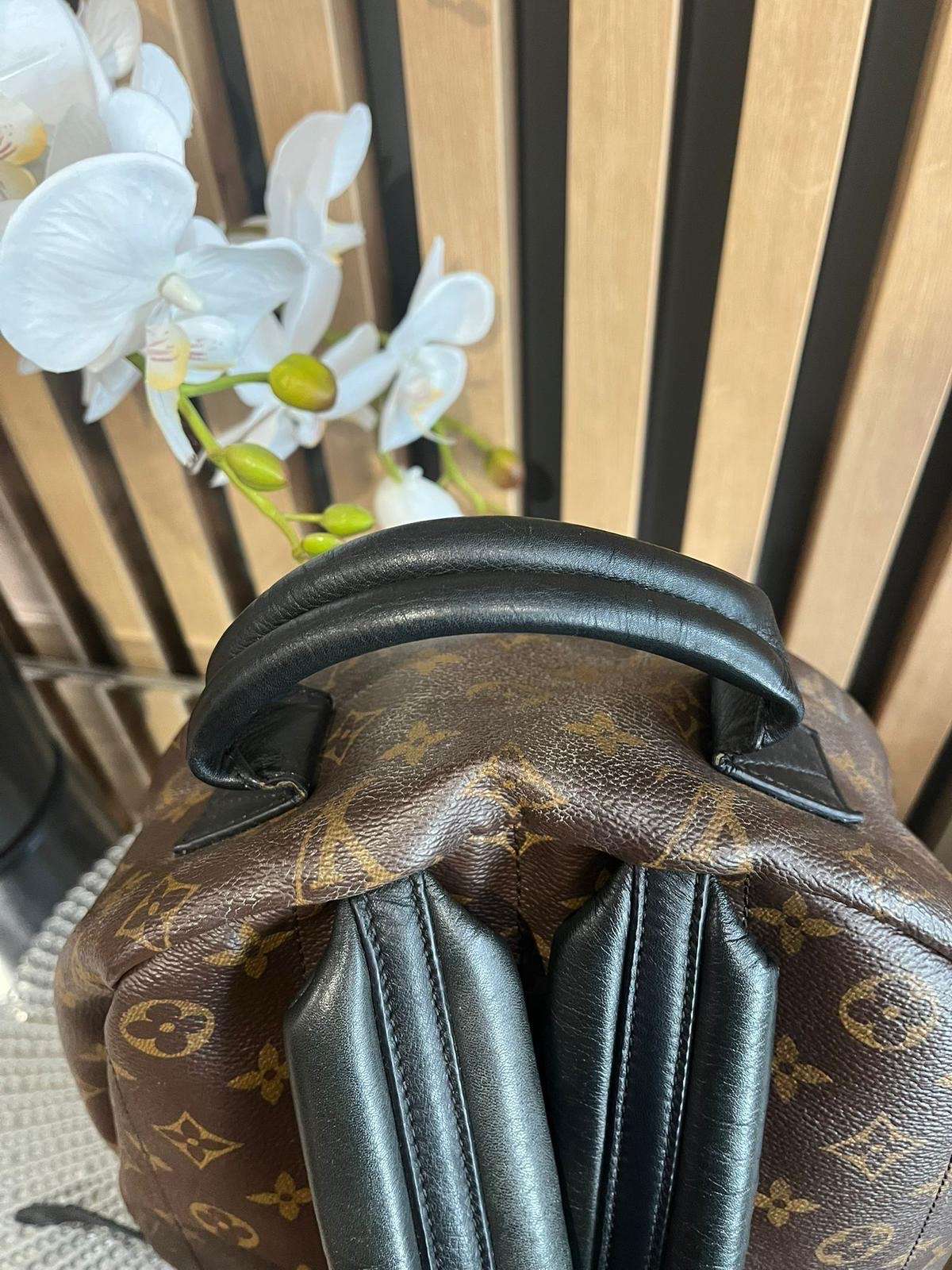 Louis Vuitton palm spring MM