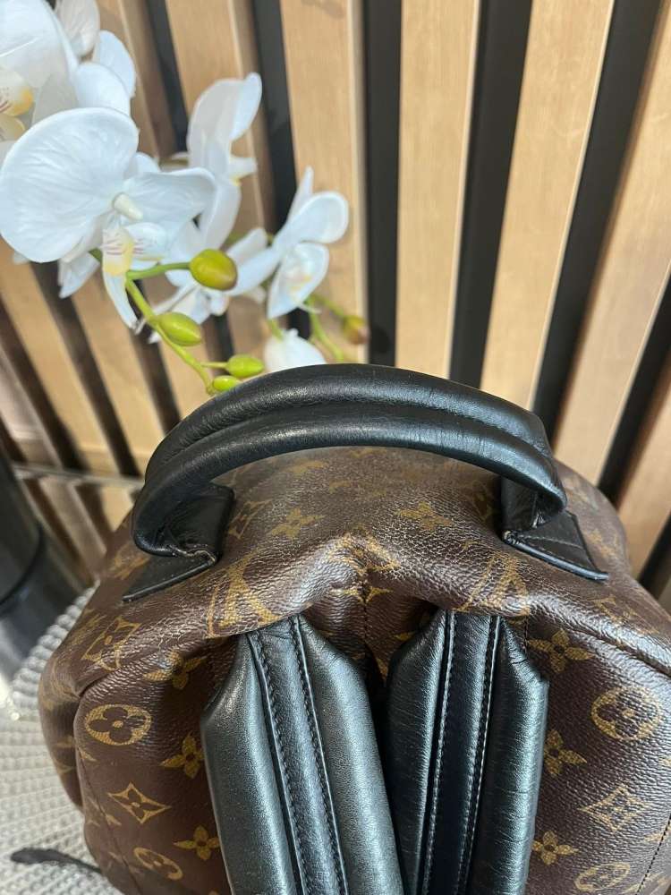 Louis Vuitton palm spring MM