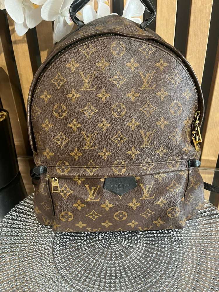 Louis Vuitton palm spring MM