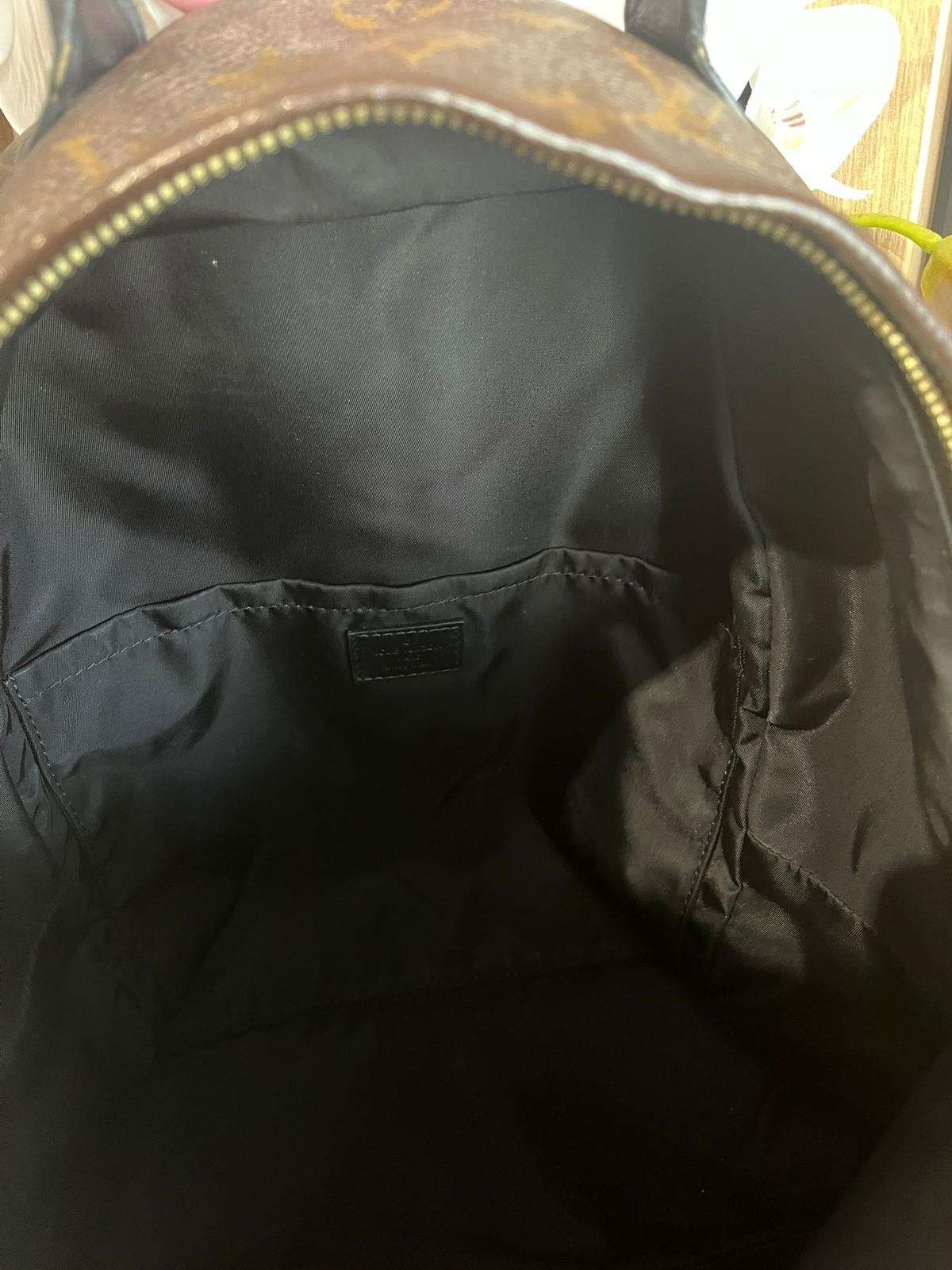 Louis Vuitton palm spring MM