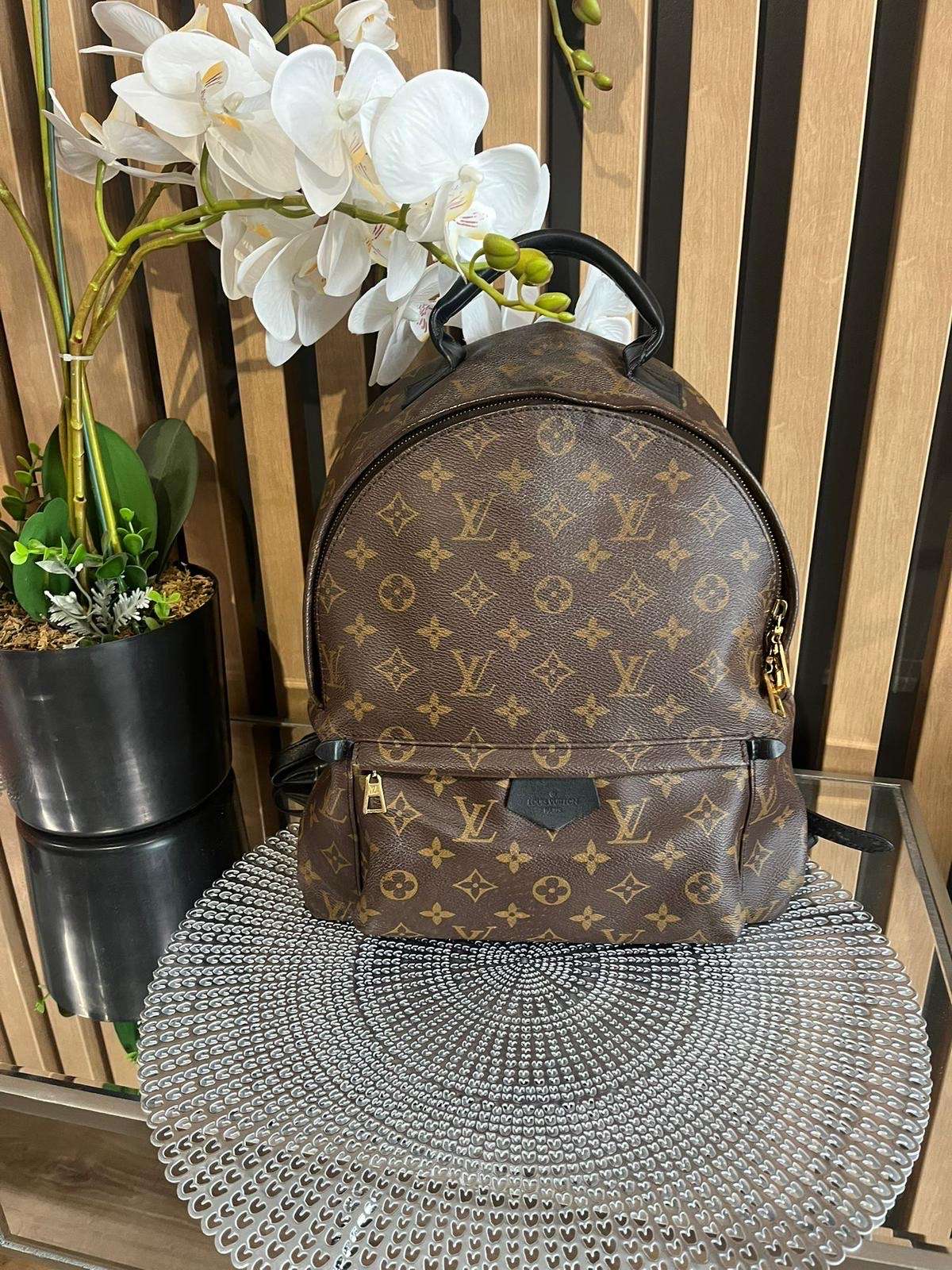 Louis Vuitton palm spring MM