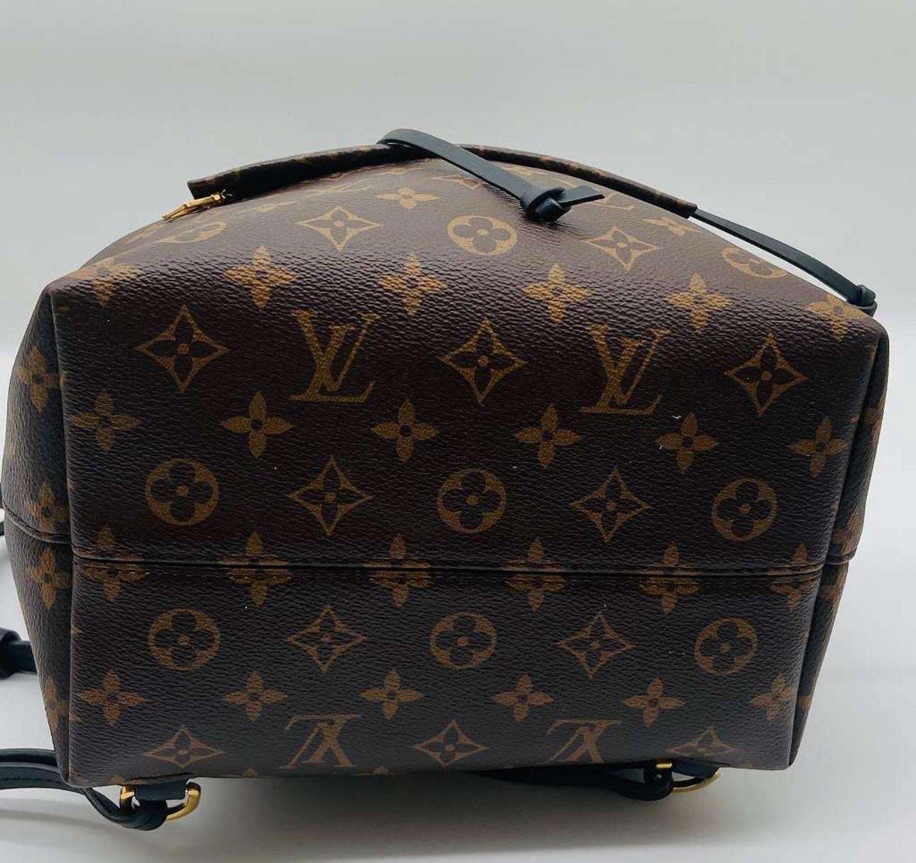 Louis Vuitton backpack