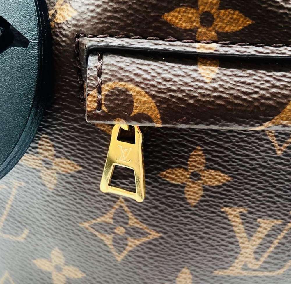 Louis Vuitton backpack