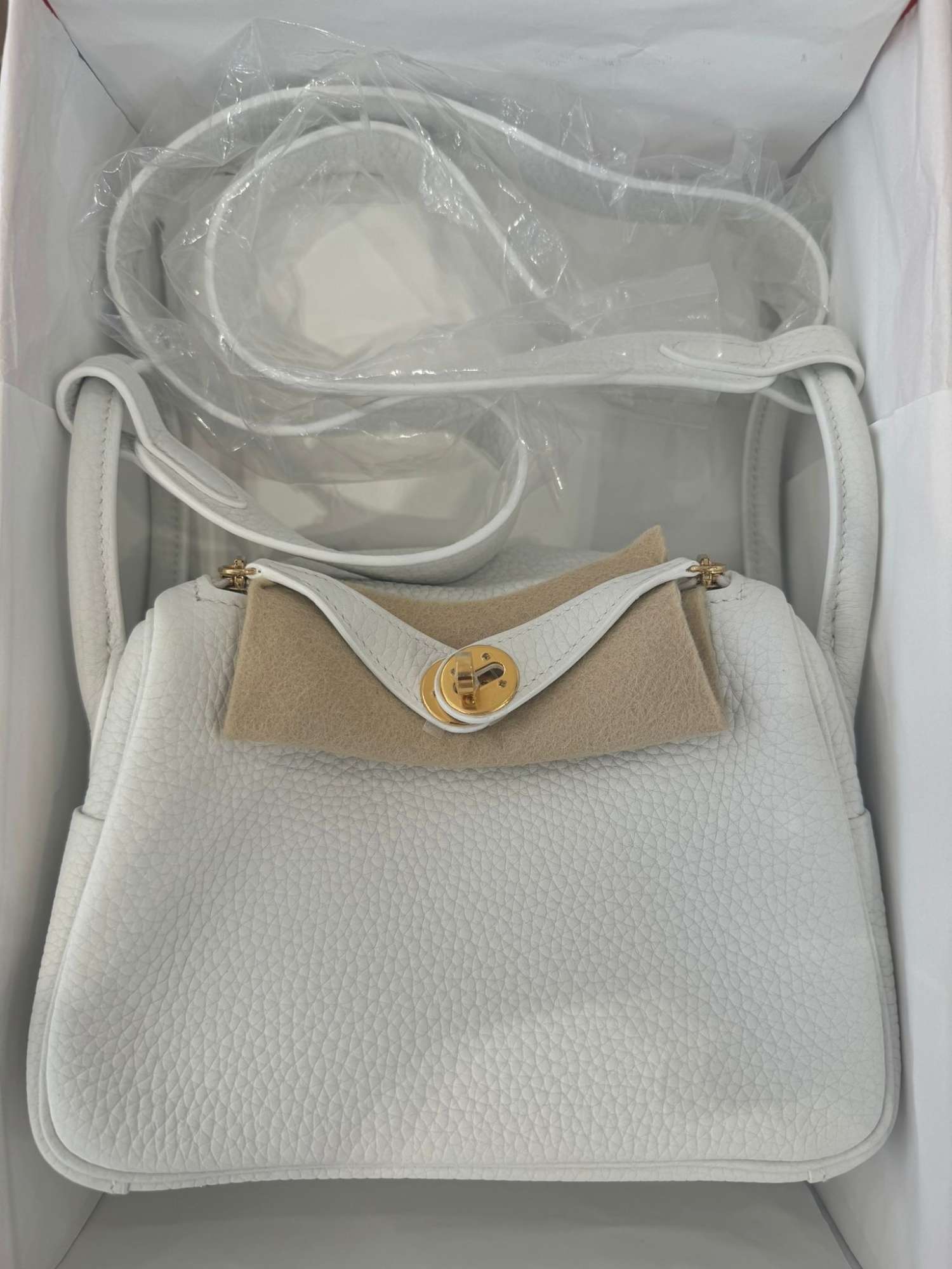 Hermes Mini Lidy