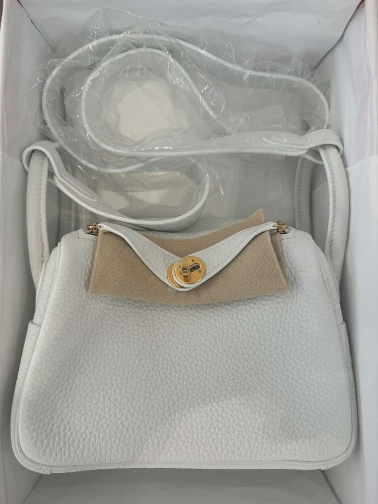 Hermes Mini Lidy