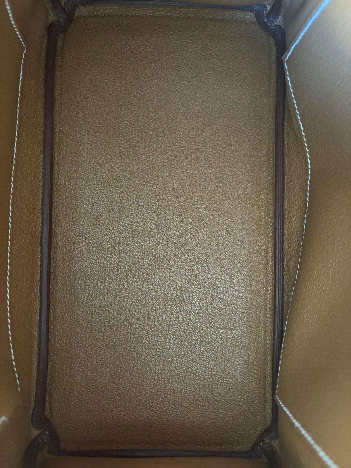 Hermes Birkin 25