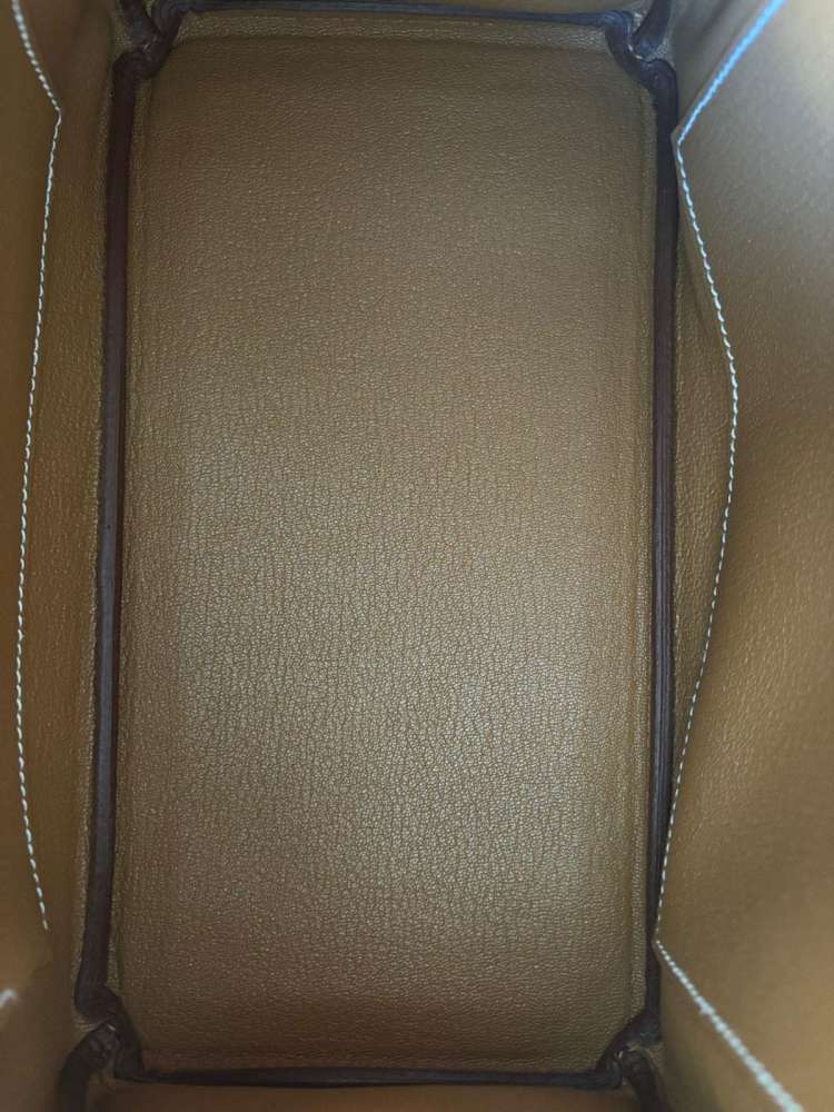 Hermes Birkin 25