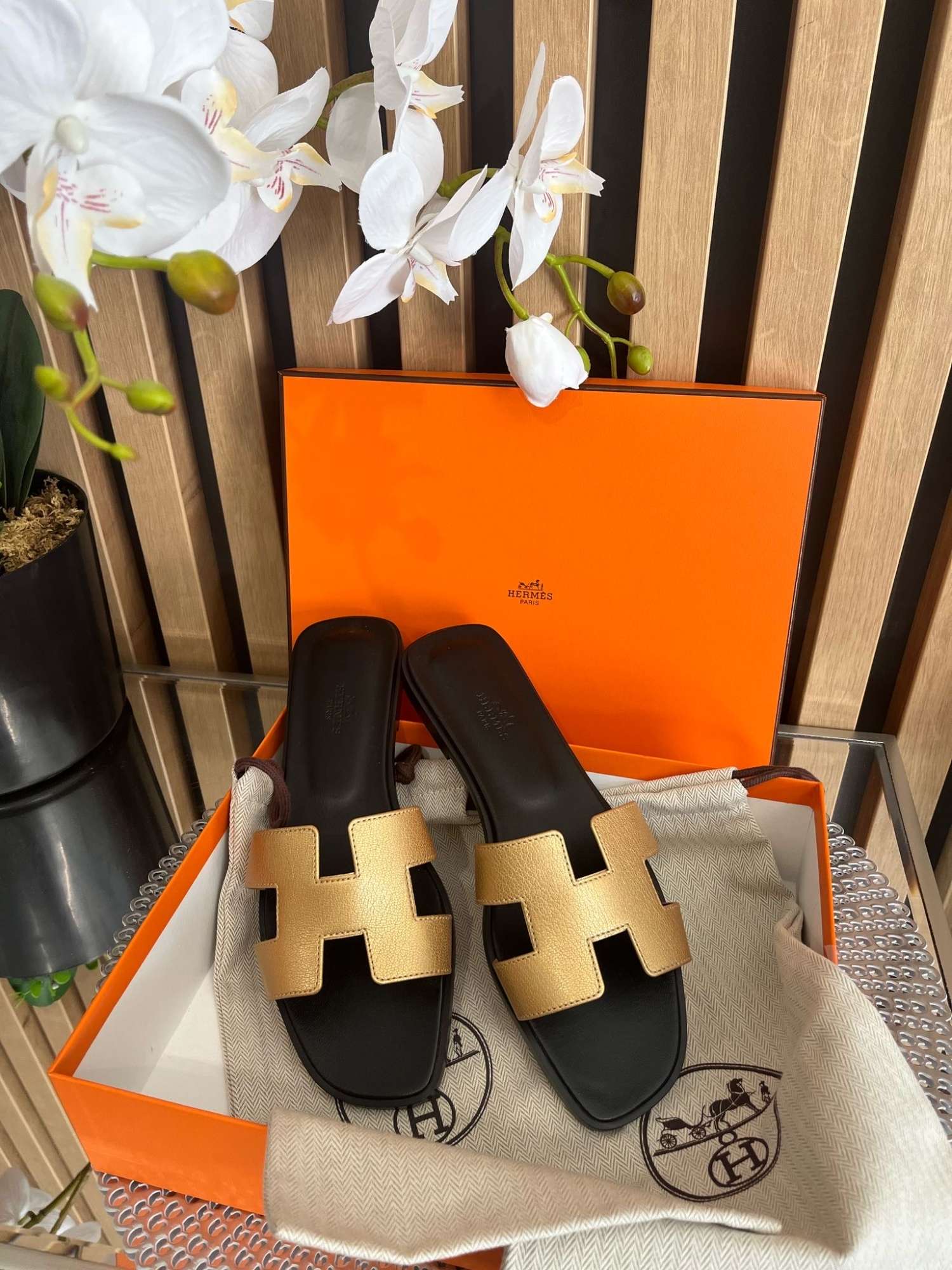 Hermes oran