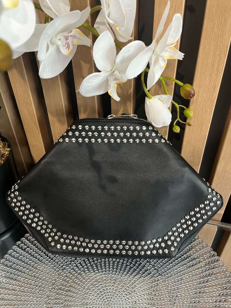 Alexander McQueen clutch