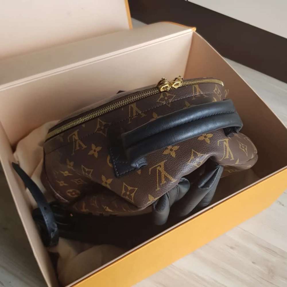 Louis Vuitton Palm Springs