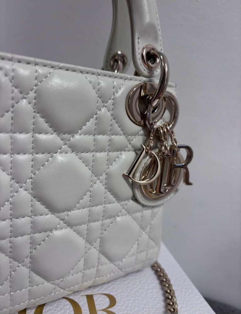 Christian Dior Lady Dior mini