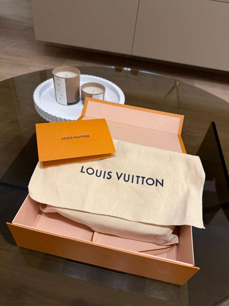 Louis Vuitton pochette