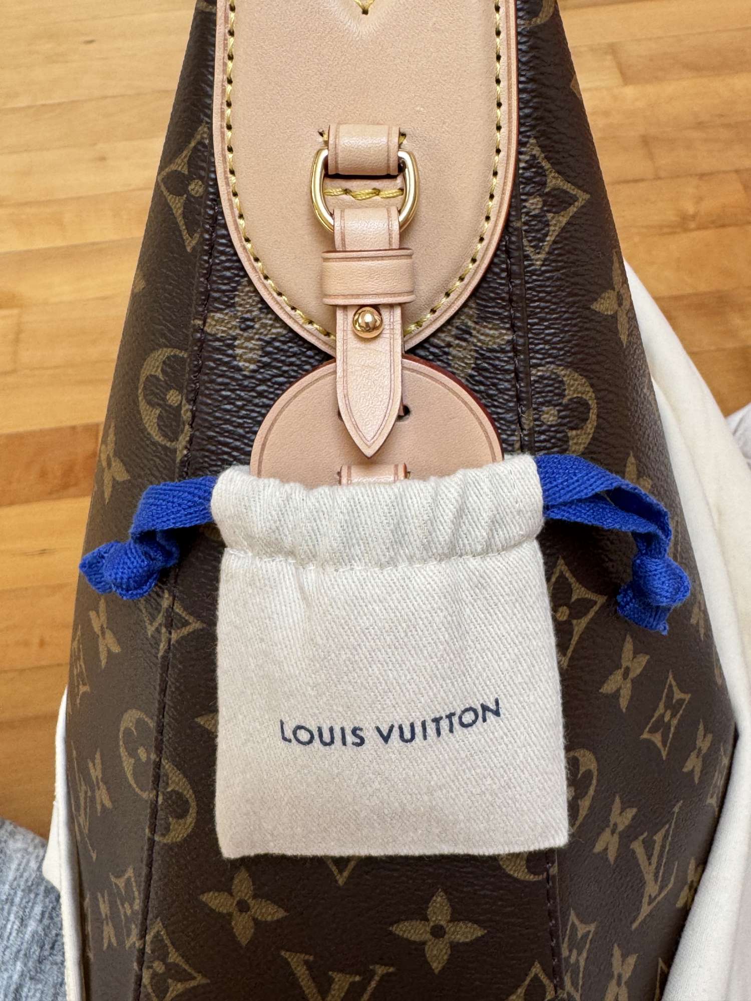 Louis Vuitton Slouchy bag MM
