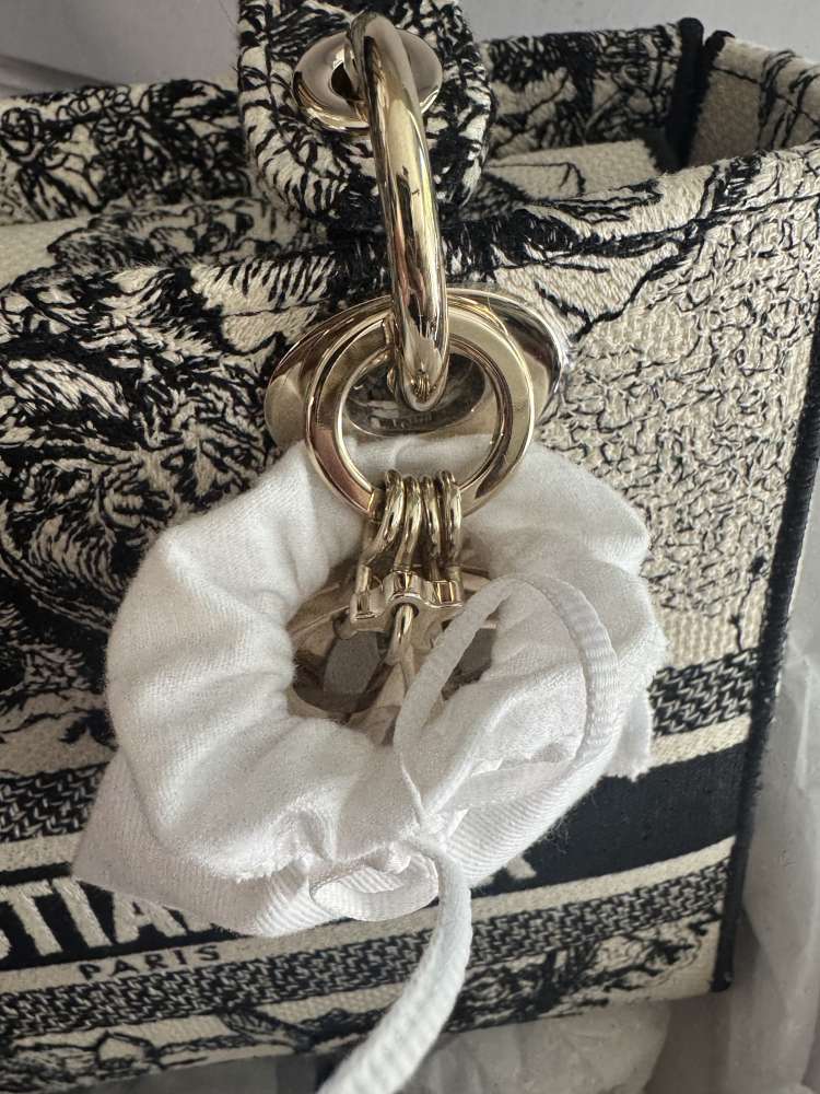 Christian Dior Lady Dior medium